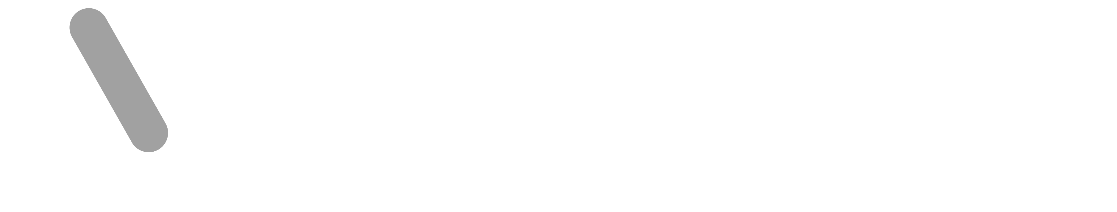Velnora Labs logo
