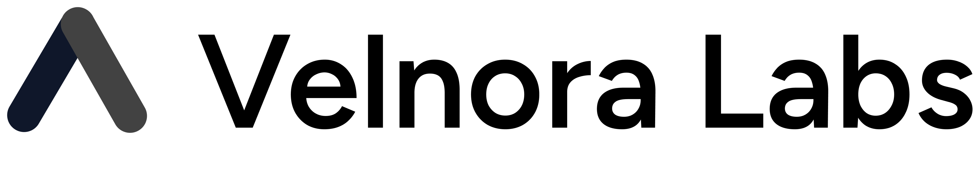 Velnora Labs logo